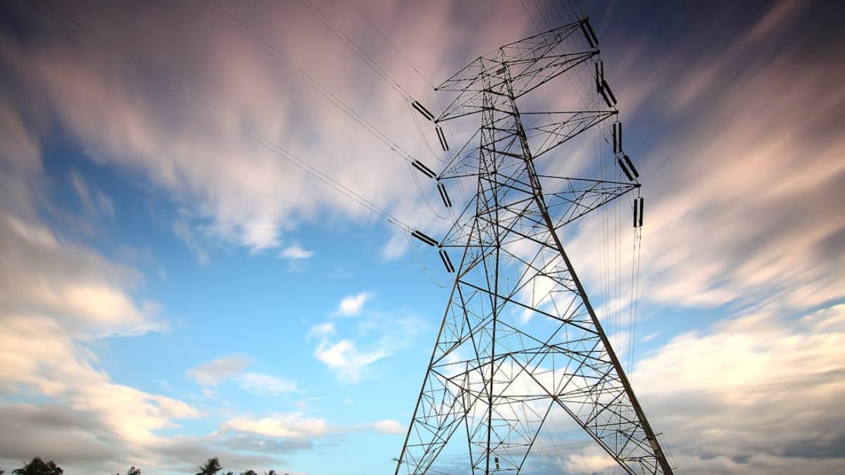 The Art of Baking: From Classic Bread to Artisan Pastries