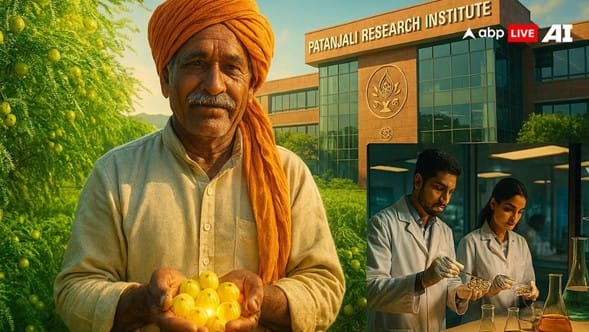 Waste to Wealth: Amla Seeds Are Not Useless — Patanjali’s Research Shocks the World!