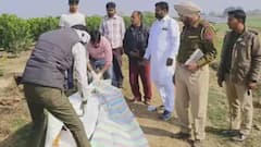 Punjab: नाले में मिला महिला का शव, एक हाथ गायब, चेहरे का मांस फटा, फैली दहशत