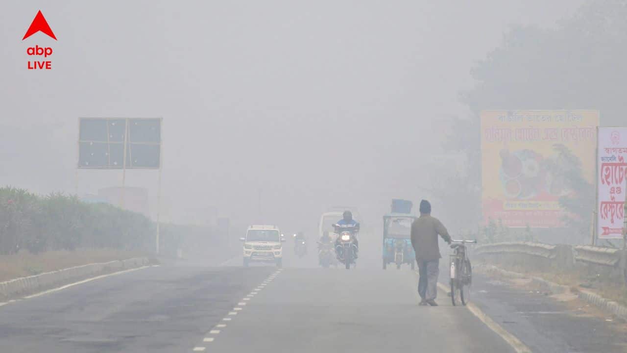 West Bengal Weather Update: শীতের দাপট অব্য়াহত, বুধবারের চেয়ে সামান্য কমল কলকাতার তাপমাত্রা