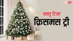 Vastu Tips: वास्तु दोष दूर करता है क्रिसमस ट्री, बस इसे घर में सही जगह पर लगाएं