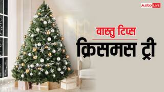 Vastu Tips: वास्तु दोष दूर करता है क्रिसमस ट्री, बस इसे घर में सही जगह पर लगाएं
