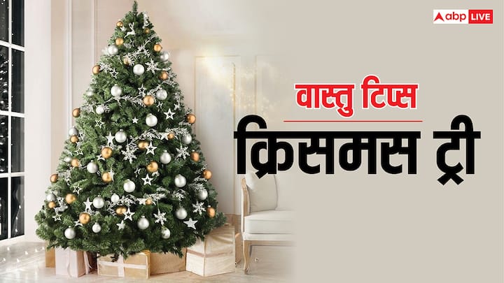 Vastu Tips: क्रिसमस ट्री के बिना ये फेस्टिवल अधूरा है, ये न सिर्फ डेकोरेशन का एक हिस्सा है बल्कि वास्तु में क्रिसमस ट्री लगाना शुभ माना जाता है, इससे वास्तु दोष दूर हो सकता है, जानें इसे लगाने के नियम