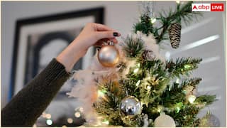 Christmas 2025 Decoration: घर पर कागज से कैसे बनाएं सुंदर क्रिसमस ट्री? बच्चों संग ऐसे करें सजावट