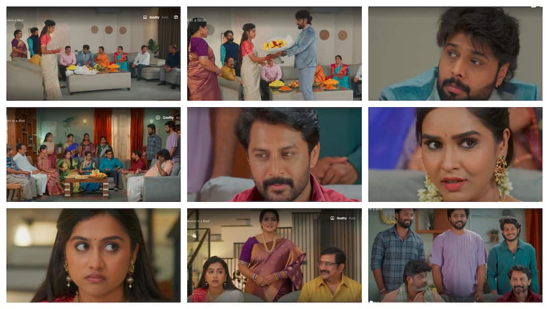 Podharillu serial today December 12th Eepisode written update in telugu Podharillu Serial Today December12th: కెనడా పెళ్లికొడుకుకి మహా నచ్చేసిందా..? అటు పెళ్లిచూపులకు వెళ్లిన మాధవ్ అక్కడ ఏం చేశాడు..?