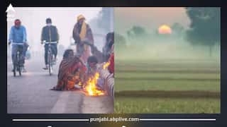 Punjab Weather Today: ਪੰਜਾਬ-ਚੰਡੀਗੜ੍ਹ ‘ਚ ਤਿੰਨ ਦਿਨ ਸੰਘਣੇ ਕੋਹਰੇ ਦਾ ਅਲਰਟ, ਤੇਜ਼ ਹਵਾਵਾਂ ਨਾਲ ਵਿਜ਼ੀਬਿਲਟੀ ਘਟੇਗੀ; 20 ਨੂੰ ਛਮ-ਛਮ ਮੀਂਹ ਦੀ ਸੰਭਾਵਨਾ