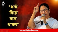 ভোটার লিস্ট তৈরি করে দিচ্ছে বিজেপির IT সেল? একের পর এক চাঞ্চল্যকর দাবি মুখ্যমন্ত্রীর