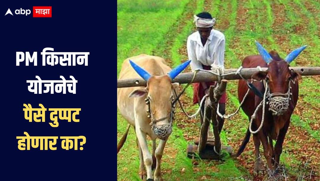 PM Kisan, Scheme, Government, Farmers, Pradhan Mantri Kisan Samman Nidhi Yojana PM किसानचे योजनेचे पैसे दुप्पट होणार का? शेतकऱ्यांना दिलासा मिळणार का? सरकारने संसदेत दिली महत्वाची माहिती  