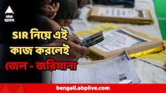 আপনাকে SIR সংক্রান্ত শুনানিতে ডাকলে কী কী নথি লাগবেই? কী করলে ৭ বছর জেল-জরিমানা?