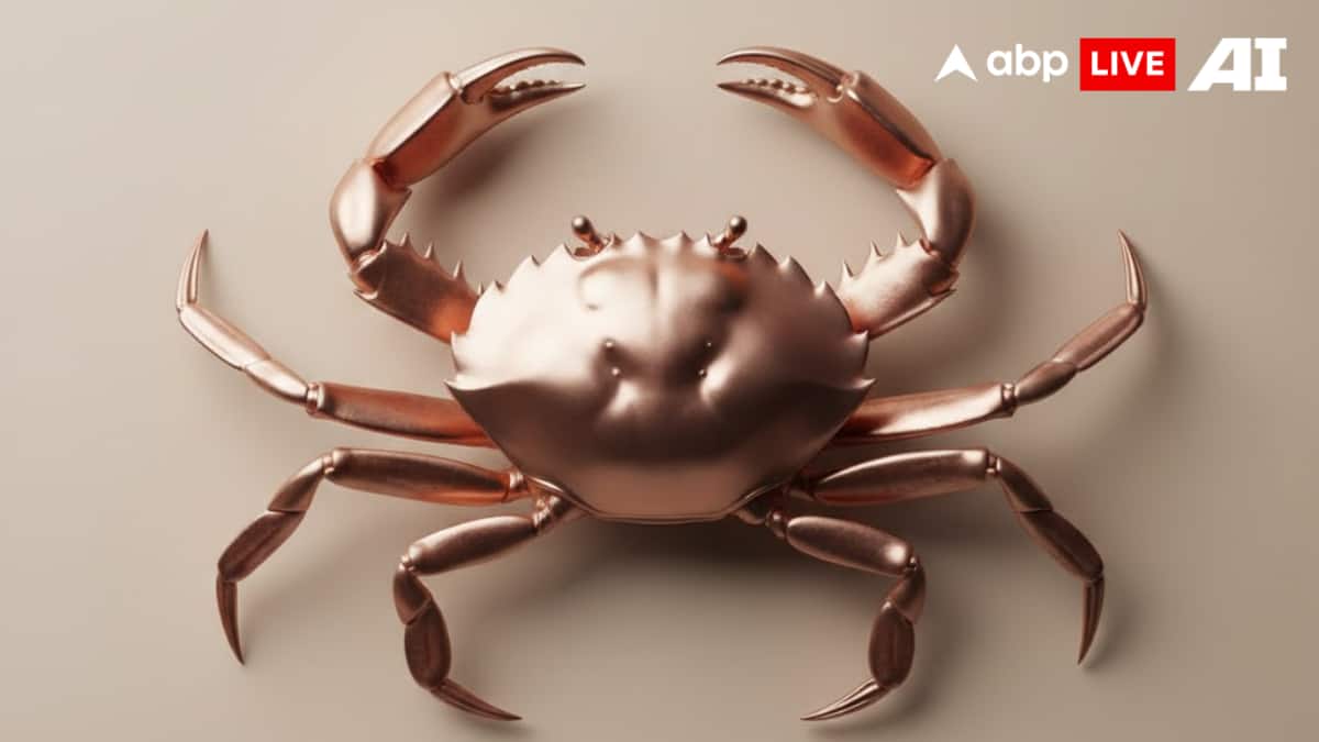 Cancer Horoscope Tomorrow, December 14, 2025: Unwanted Conflicts, Health Dips, And Sensitive Moments