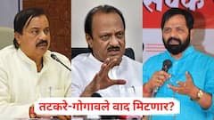आता संघर्ष थांबायला हवा, रायगडचा राजकीय वणवा शमवण्यासाठी अजित पवार मैदानात; तटकरे-गोगावले वाद मिटणार?