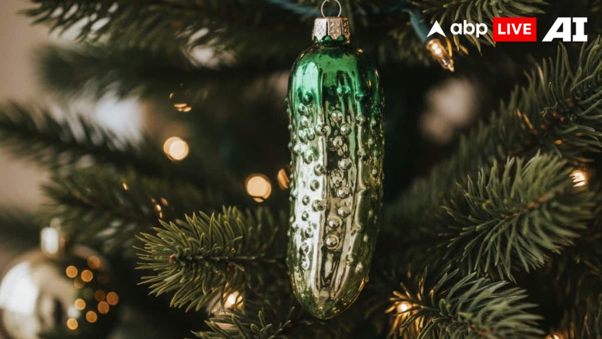 (Image Source: ABPLIVE AI)
