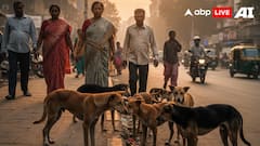 Stray Dog Attacks Surge In Mumbai: Over 1.28 Lakh Bite Cases Reported In 2024, Govt Reveals