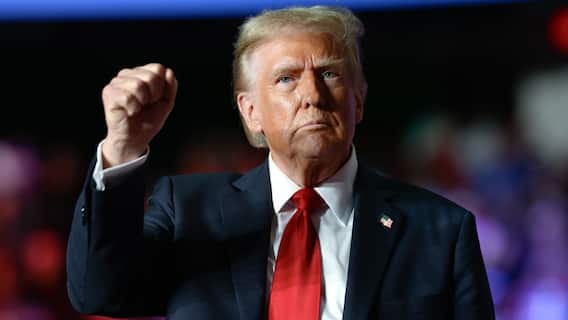 Epstein Photos Released By House Democrats Show Trump, Clinton; Prez Dismisses Images As ‘No Big Deal’