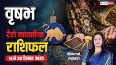 वृषभ साप्ताहिक टैरो राशिफल (14 से 20 दिसंबर 2025): पढ़ाई, करियर और रिश्तों में दिखेंगे पॉजिटिव बदलाव!