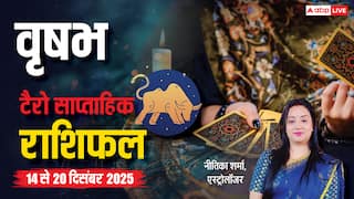 वृषभ साप्ताहिक टैरो राशिफल (14 से 20 दिसंबर 2025): पढ़ाई, करियर और रिश्तों में दिखेंगे पॉजिटिव बदलाव!