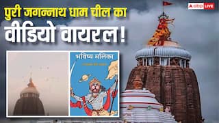 पुरी जगन्नाथ मंदिर पर चीलों का रहस्य! क्या है प्राकृतिक आपदा का संकेत? वायरल वीडियो ने मचाया तहलका, जानें चौंकाने वाली बातें!