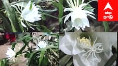 நள்ளிரவில் நிகழ்ந்த அதிசயம்..சீர்காழி பள்ளி திரண்ட மக்கள்...