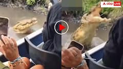 जंगल सफारी के दौरान मगरमच्छ ने किया नाव पर हमला, दरिंदे के खौफ से निकली टूरिस्ट की चीखें- वीडियो वायरल