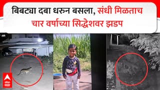 Ahilyanagar : दबा धरून बसला, संधी मिळताच बिबट्याने सिद्धेशवर झडप घातली; चार वर्षाच्या चिमुकल्याचा जागेवरच मृत्यू