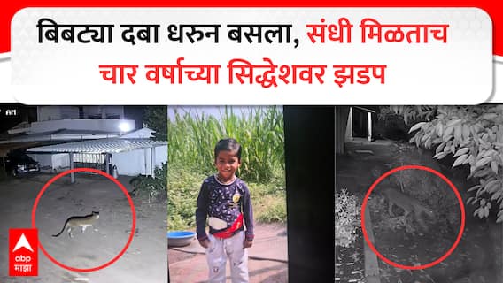 Ahilyanagar : दबा धरून बसला, संधी मिळताच बिबट्याने सिद्धेशवर झडप घातली; चार वर्षाच्या चिमुकल्याचा जागेवरच मृत्यू