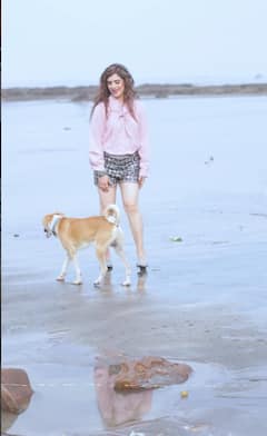 62 की उम्र में मीनाक्षी शेषाद्रि ने शॉर्ट्स में बिखेरे जलवे, बीच पर दिए गजब के पोज