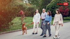 क्या सच में खाना खाने के बाद करनी चाहिए फार्ट वॉक, वाकई इससे सेहत सुधरती है?