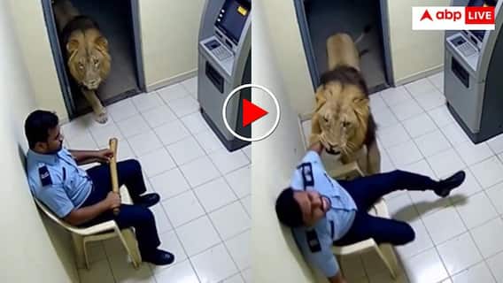 ATM गार्ड को रूम से खींच ले गया बब्बर शेर! खौफनाक नजारा देख छूट जाएंगे पसीने- वीडियो वायरल