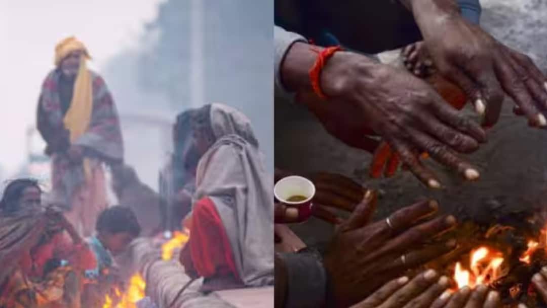 Maharashtra Weather: पुणे सहित सातारा में मिनी कश्मीर का एहसास, ठंड का अलर्ट, स्कूल के समय में बदलाव की मांग Maharashtra Weather Pune and Satara experience mini Kashmir demand for changes in school timings Maharashtra Weather: पुणे सहित सातारा में मिनी कश्मीर का एहसास, ठंड का अलर्ट, स्कूल के समय में बदलाव की मांग