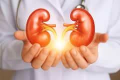 Health Tips : चेहऱ्यावरील 'हे' संकेत देतात सतर्कतेचा इशारा; दुर्लक्ष केल्यास किडनी होते खराब