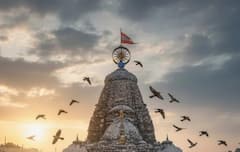 Jagannath Temple viral video: જગન્નાથ મંદિરના શિખર પર ઇગલનું ઝુંડ, ભવિષ્યવાણીની ફરી ચર્ચા, વીડિયો વાયરલ