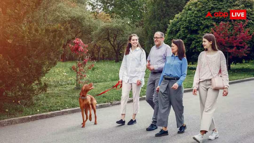 Should You Really Go for a Post-Meal Walk to know its benefits Health: જમ્યા બાદ ખરેખર ચાલવું ફાયદાકારક છે? જાણો શું છે ફાર્ટ વોક, કેમ છે ટ્રેન્ડમાં