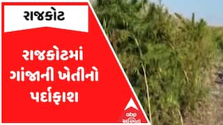 Rajkot Police : રાજકોટમાં ગાંજાની ખેતીનો પર્દાફાશ, જુઓ અહેવાલ