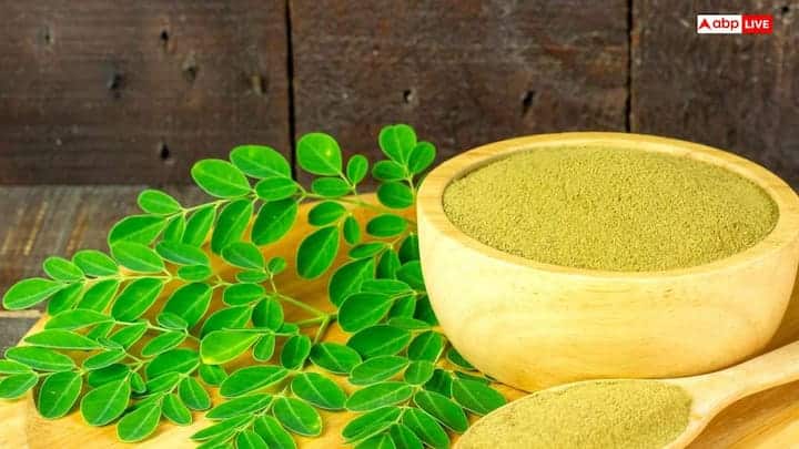 વૈજ્ઞાનિક સંશોધનો પણ મોરિંગાની શક્તિને સમર્થન આપે છે. વિવિધ અભ્યાસો મુજબ, મોરિંગાના પાંદડાઓમાં ૯૦ થી વધુ કુદરતી સંયોજનો (Natural Compounds) મળી આવે છે. સંશોધકોનું માનવું છે કે મોરિંગાના આ અદભૂત ફાયદા તેમાં રહેલા વિશિષ્ટ તત્વો જેવા કે ક્વેર્સેટિન (Quercetin), ક્લોરોજેનિક એસિડ અને આઇસોથિઓસાયનેટ્સને આભારી છે. જો તમે તમારા રોજિંદા આહારમાં મોરિંગાના પાનનો સમાવેશ કરો છો, તો તે એક શક્તિશાળી એન્ટી-ઓક્સિડન્ટ તરીકે કામ કરે છે, જે શરીરને અંદરથી મજબૂત બનાવે છે.