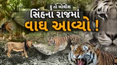 Hun To Bolish : હું તો બોલીશ : સિંહના રાજમાં વાઘ આવ્યો