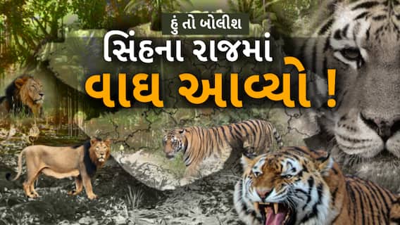 Hun To Bolish : હું તો બોલીશ : સિંહના રાજમાં વાઘ આવ્યો