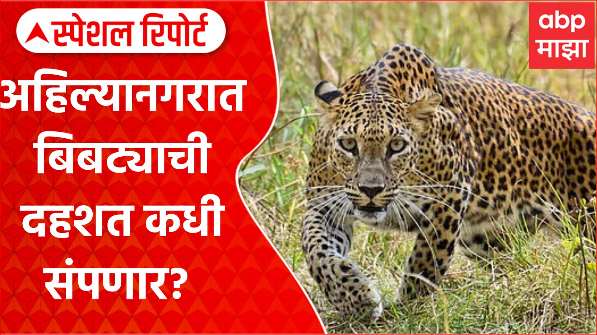 ABP News