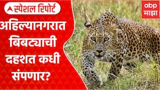 Ahilyanagar Leopard : अहिल्यानगरात बिबट्याची दहशत कधी संपणार? Special Report