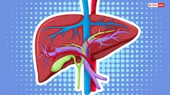 लीवर के लिए ये हैं सबसे अच्छे और सबसे खराब 5 फूड, जान लीजिए इनके बारे में