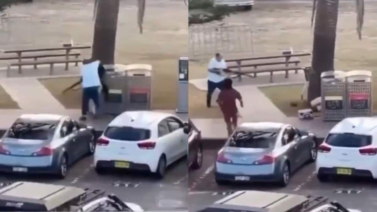 Video: Bystander Pins Down Gunman Amid Chaos At Australia's Bondi Beach, Saves Lives