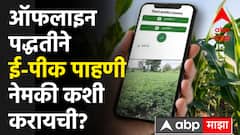 E-pik pahani : ऑफलाइन पद्धतीने ई-पीक पाहणी नेमकी कशी करायची? 