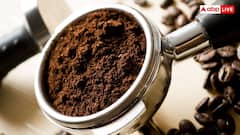 Kopi Luwak Coffee: जानवर के‌ मल से‌ बनती है यह कॉफी, कीमत सुनकर उड़ जाएंगे होश