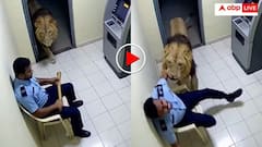 ATM ગાર્ડને રૂમમાંથી ખેંચી ગયો સિંહ, ભયાનક નજારો જોઈને છૂટી જશે તમારો પરસેવો