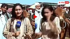 Video: पाकिस्तान में महिला रिपोर्टर को बैल ने मारी जोरदार टक्कर, उसके बाद जो हुआ हैरान कर देगा