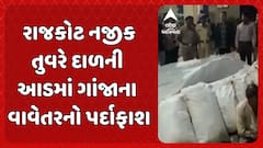 Rajkot News : રાજકોટ નજીક તુવરે દાળની આડમાં ગાંજાના વાવેતરનો પર્દાફાશ