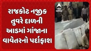 Rajkot News : રાજકોટ નજીક તુવરે દાળની આડમાં ગાંજાના વાવેતરનો પર્દાફાશ