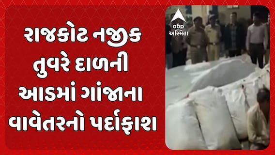 Rajkot News : રાજકોટ નજીક તુવરે દાળની આડમાં ગાંજાના વાવેતરનો પર્દાફાશ