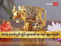 Vastu Tips: ઘરમાં કામધેનુની મૂર્તિ મુકવાથી ધન અને સુખ વધશે? જાણો સાચી દિશા અને નિયમો