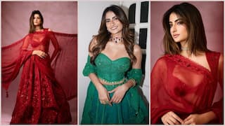 रेड लहंगे में पलक तिवारी ने फ्लॉन्ट किया क्रिसमस लुक, ग्रीन ड्रेस में लगीं 'हुस्न परी', देखें तस्वीरें