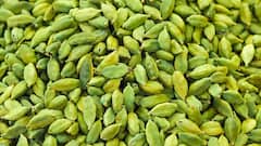 इन 5 मसालों की खुशबू से भारत की ओर खींचे चले आए थे अंग्रेज, जानें क्यों थी यूरोप में इनकी इतनी डिमांड?